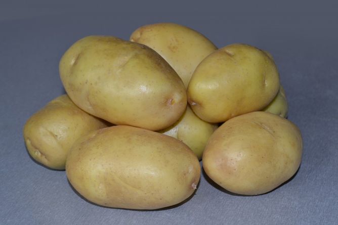 Картофель Импала (Фасовка: 2,5 кг)