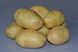 Картопля Імпала (Фасовка: 2,5 кг)