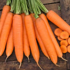Морковь Сиркана F1 (Фасовка: 0,5 г)
