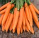 Морковь Сиркана F1 (Фасовка: 0,5 г)