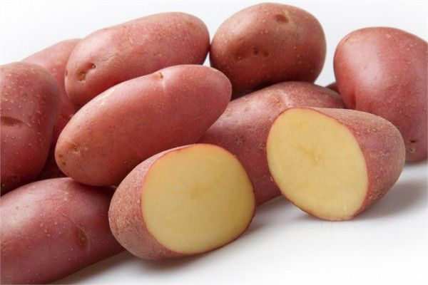 Картопля Ред скарлет (Фасовка: 5 кг; Колір: червоний)