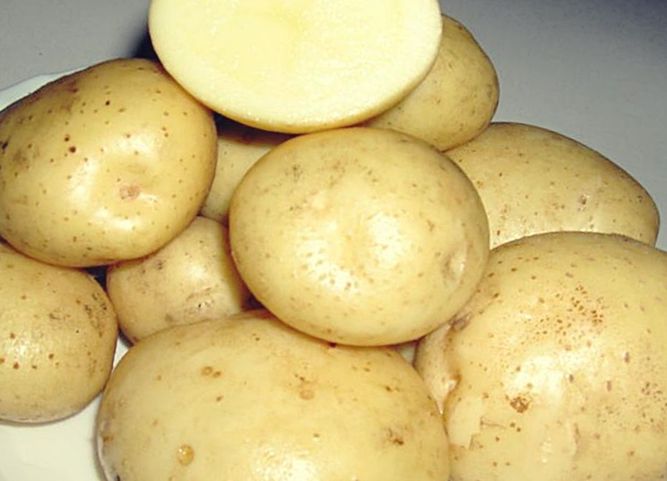 Картофель Фабула (Фасовка: 5 кг)